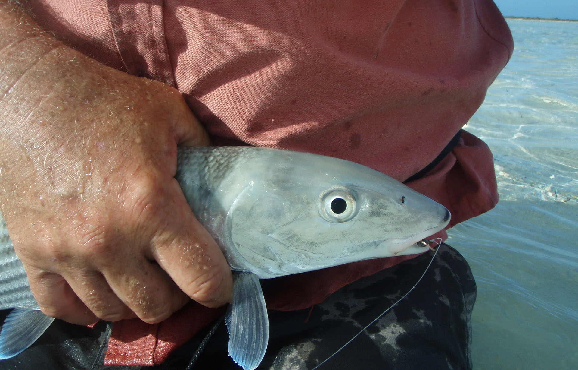 Bonefish in hand