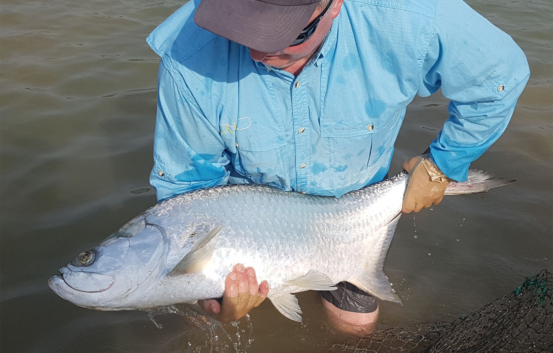 bangkok tarpon