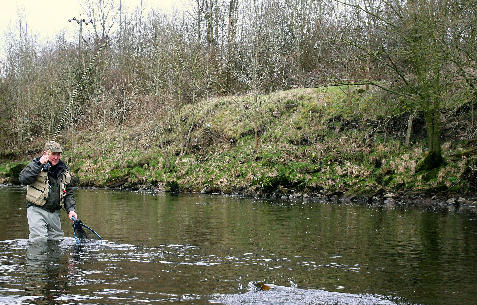 FLY FISHING FOR TROUT