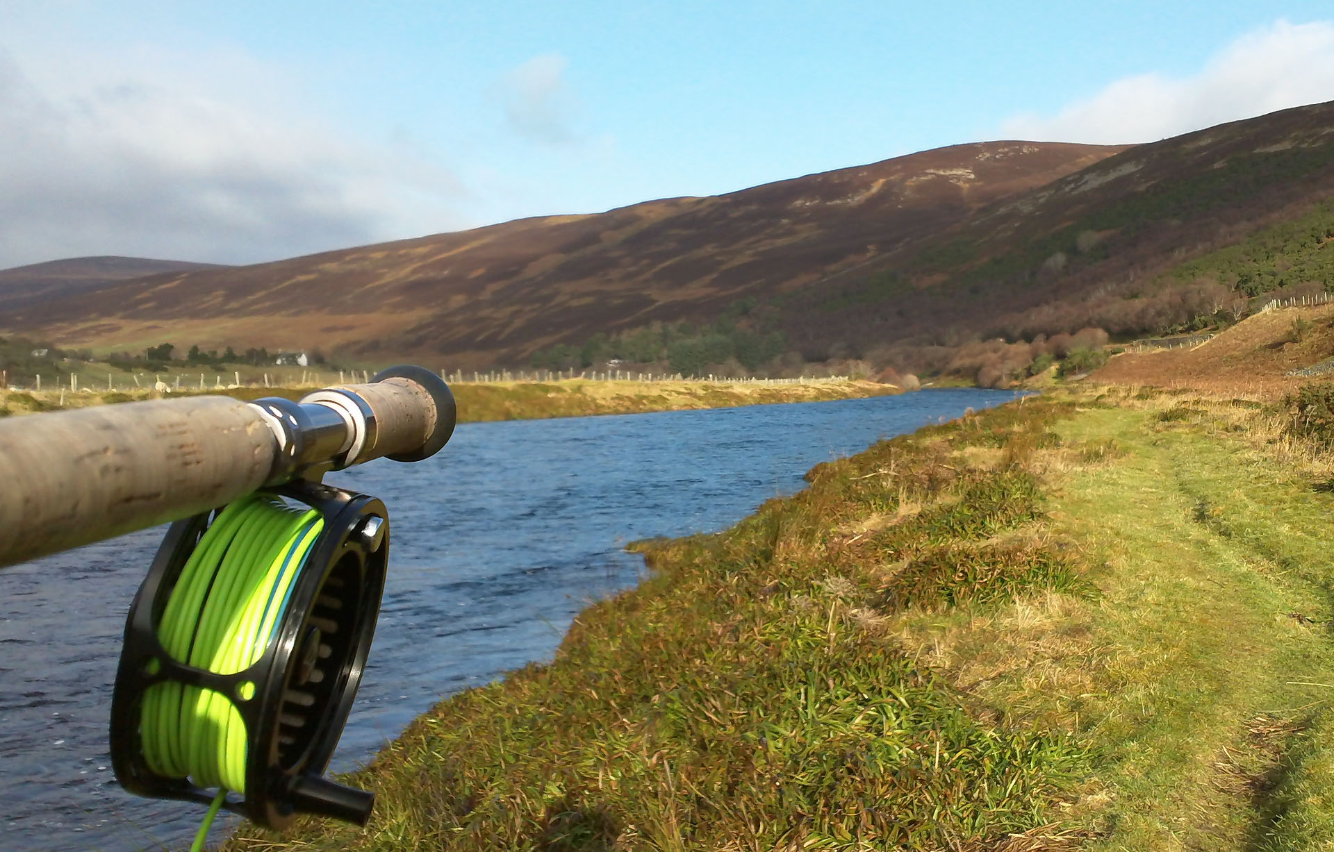 helmsdale back